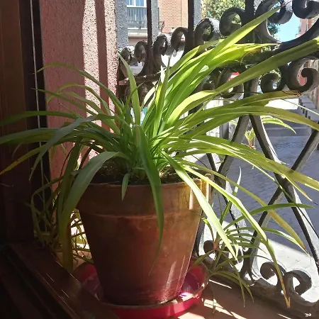 Appartement Lavapies Al Lado Del Rastro *