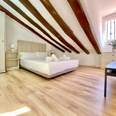 Charming Malasaña Attic *