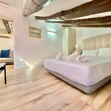 Charming Malasaña Attic Madrid