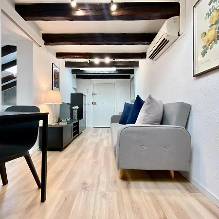 Charming Malasaña Attic