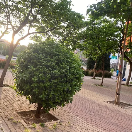 Cosmopolita Zona Céntrica Apartmán Madrid