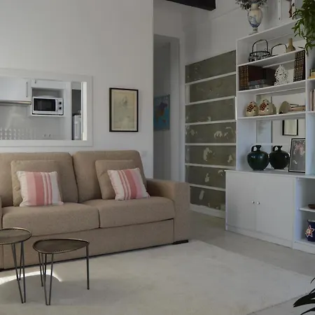 Estrena Luminoso Atico Con Terraza En Pleno Centro Apartment