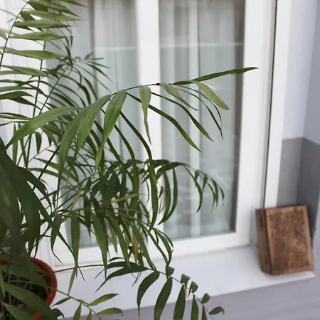 Precioso Apartamento Con Terraza Madrid