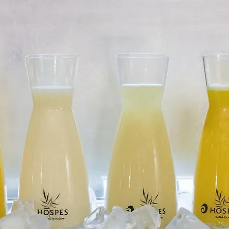 阿尔卡拉门霍斯皮斯酒店