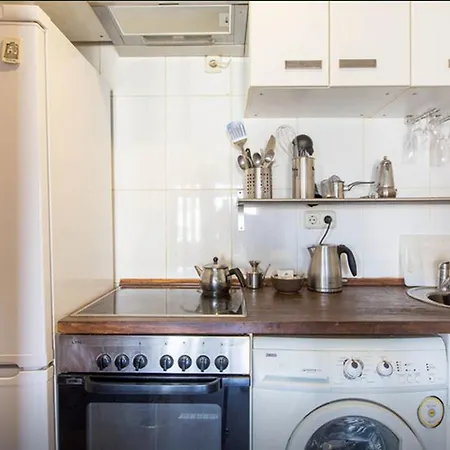 Atico Duplex Loft Lavapies Madrid