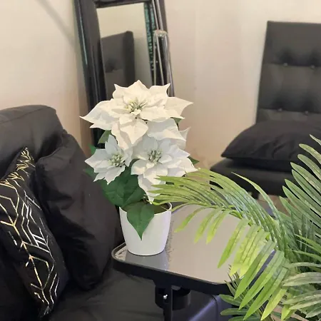 Luxury En Apartment *