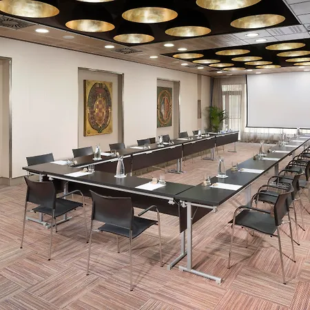 Hotel Melia Castilla Madryt