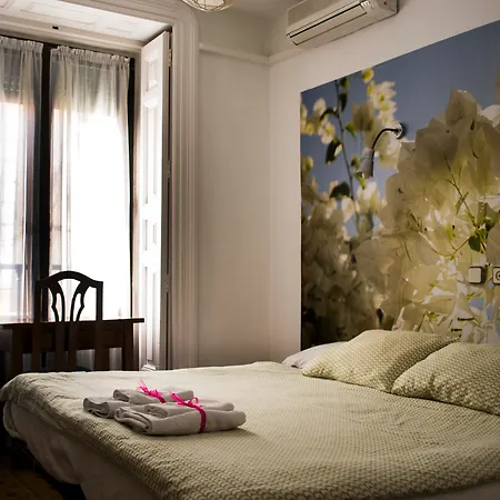 Guest house Veracruz Puerta Del Sol 2*