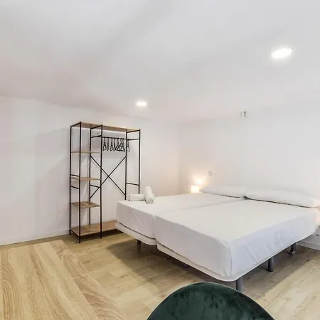 Apartment Lofts Business Bernabeu Madrid