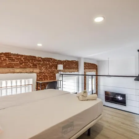 Apartment Lofts Business Bernabeu Madrid