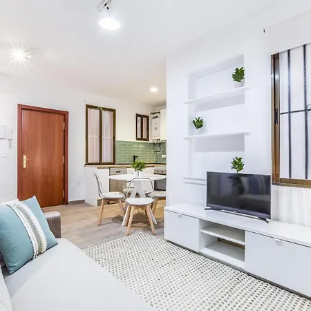 Apartamento Paseo Del Prado Apartment Madrid