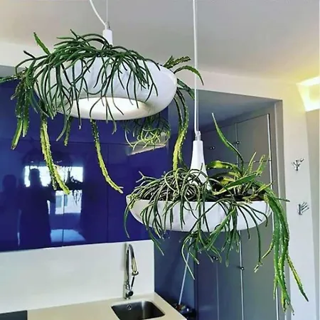 Appartement Por Temporada Centro Diseno *
