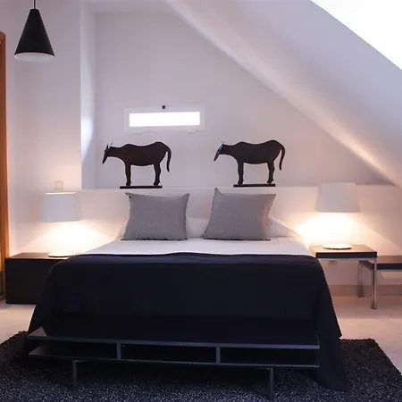 Wootravelling Plaza De Oriente Homtels Madrid