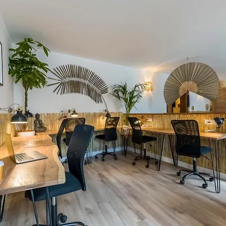 Santo - Coworking - Coliving - Hostal *
