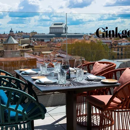 Hotel Vp Plaza Espana Design