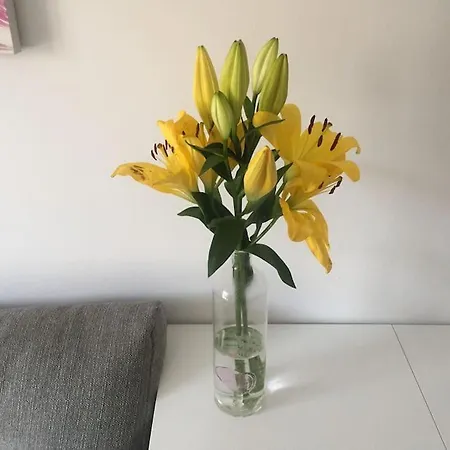 Appartement Apartamento Ciudad Lineal Reciente Reforma