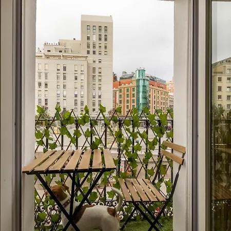 Santo - Coworking - Coliving - *