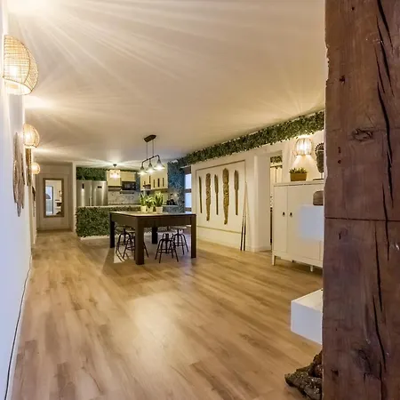 Santo - Coworking - Coliving - Madrid