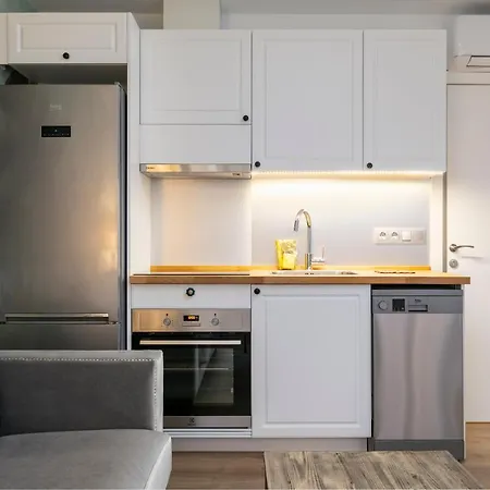 Apartamento Apartamento Diego De Leon Guindalera - Mana 1 *