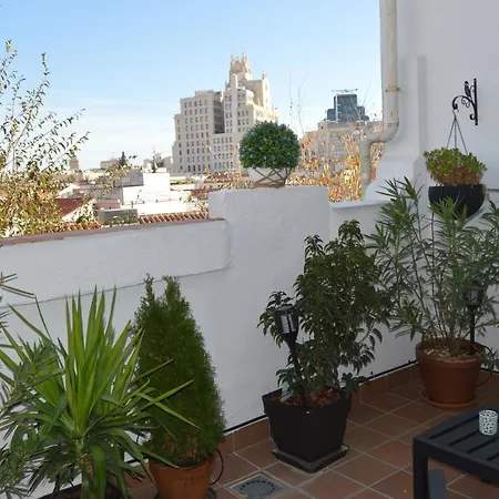 Estrena Luminoso Atico Con Terraza En Pleno Centro *