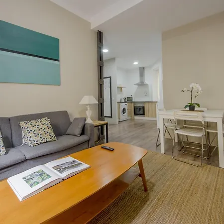 Ideal Apartamento En La Latina / Centro De