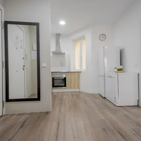 Ideal Apartamento En La Latina / Centro De Apartment *