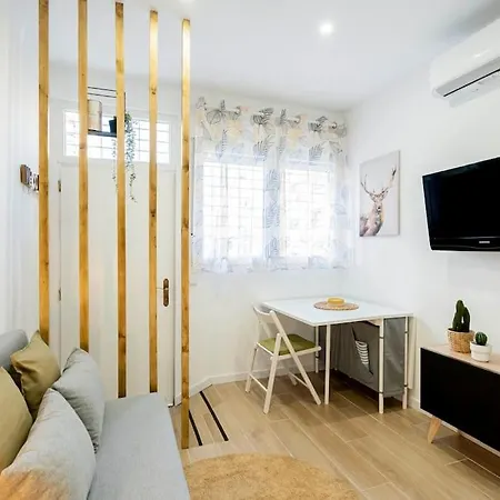 Cor. Coqueto Apartamento A 20 Min De Puerta Del Sol Apartamento