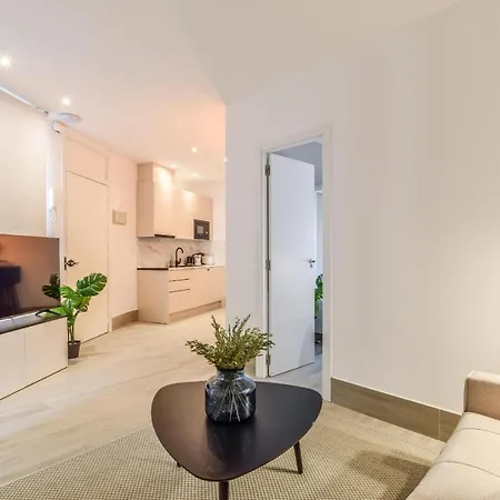 Apartment Embajadores Viii Madrid