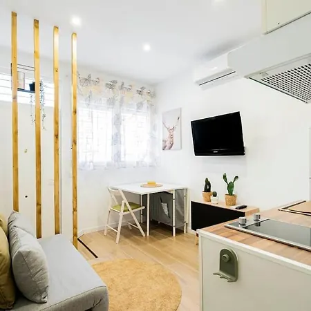 Cor. Coqueto Apartamento A 20 Min De Puerta Del Sol * Madrid