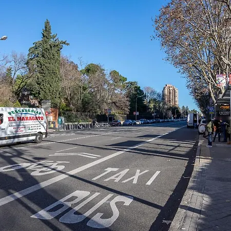 Retiro Maravilla Madrid