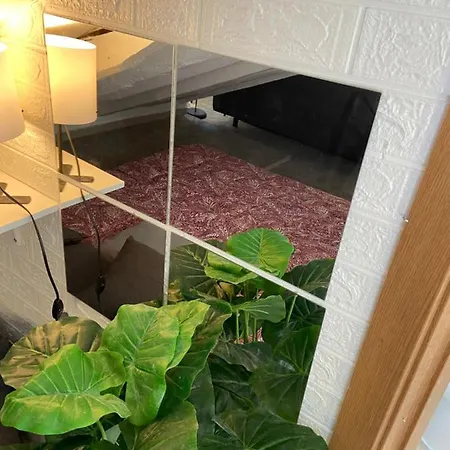 Apartment Calle Barbieri - En Chueca *