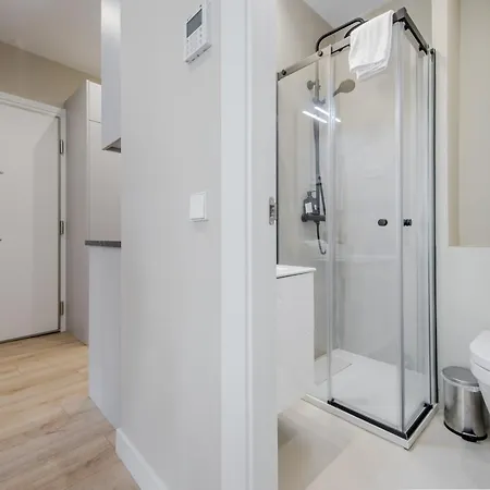 Downtown Apt 7pax La Latina-centro De Madrid! *