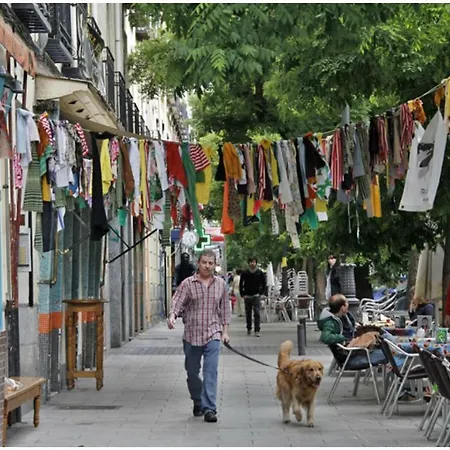 Apartamento En Centro De *