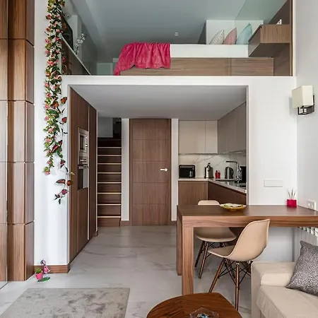 Fantastic & Pleasant Loft In Retiro Madrid