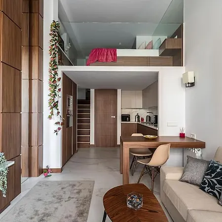 Apartment Fantastic & Pleasant Loft In Retiro