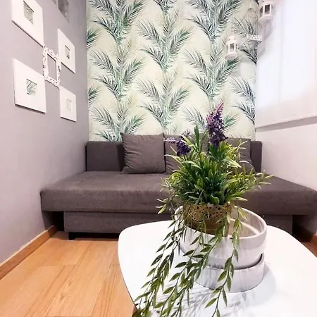 Acogedor Piso Apartment Madrid
