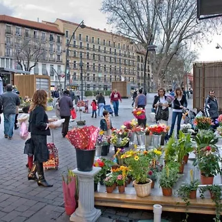 Apartamento Luminoso En Lavapies-tirso De Molina