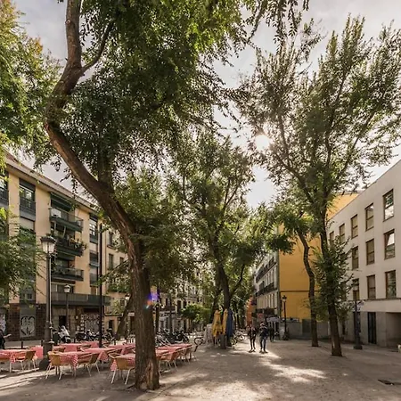 Luminoso En Lavapies-tirso De Molina