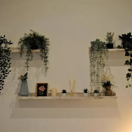 Piruli Home- Cozy With Patio Apartment Madrid