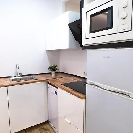 2 A 6 Pax Museos Y Ronda De Atocha Apartment *