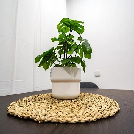 Apartment Encantador Lugar En Cuatro Caminos By Bebalmy Madrid