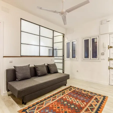Apartamento Reformado En Lavapies