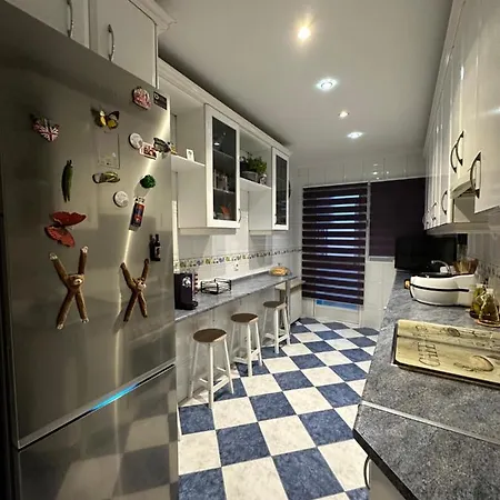 Apartamento Madera De Olmo Madrid