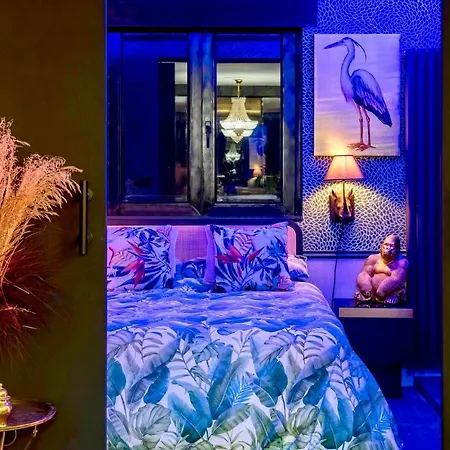 Excellent Penthouse In The Center Appartement *