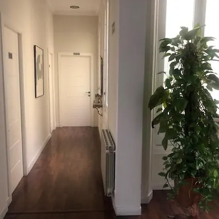 Mayor 2*