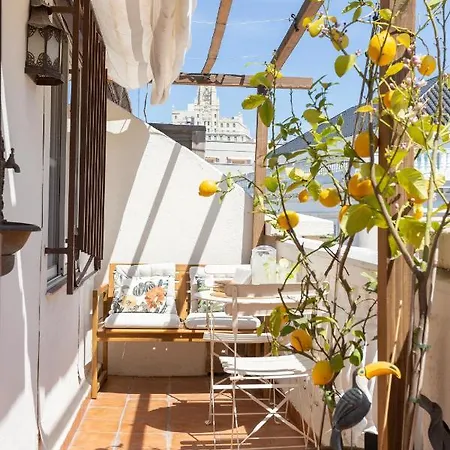 Con Terraza Junto A Sol Madrid