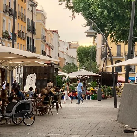 Tirso De Molina Madrid
