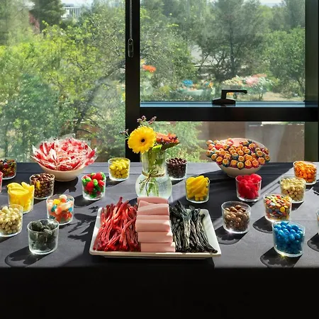 Hotel Melia Avenida De America 4*