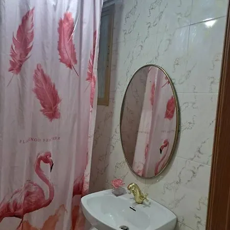 Apartamento Piso Amplio Y Acogedor