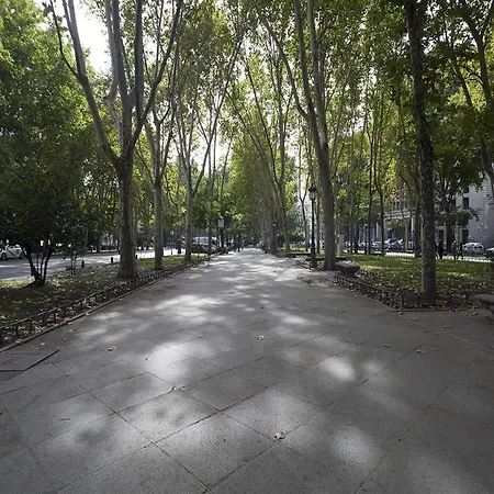 Paseo Del Prado 마드리드